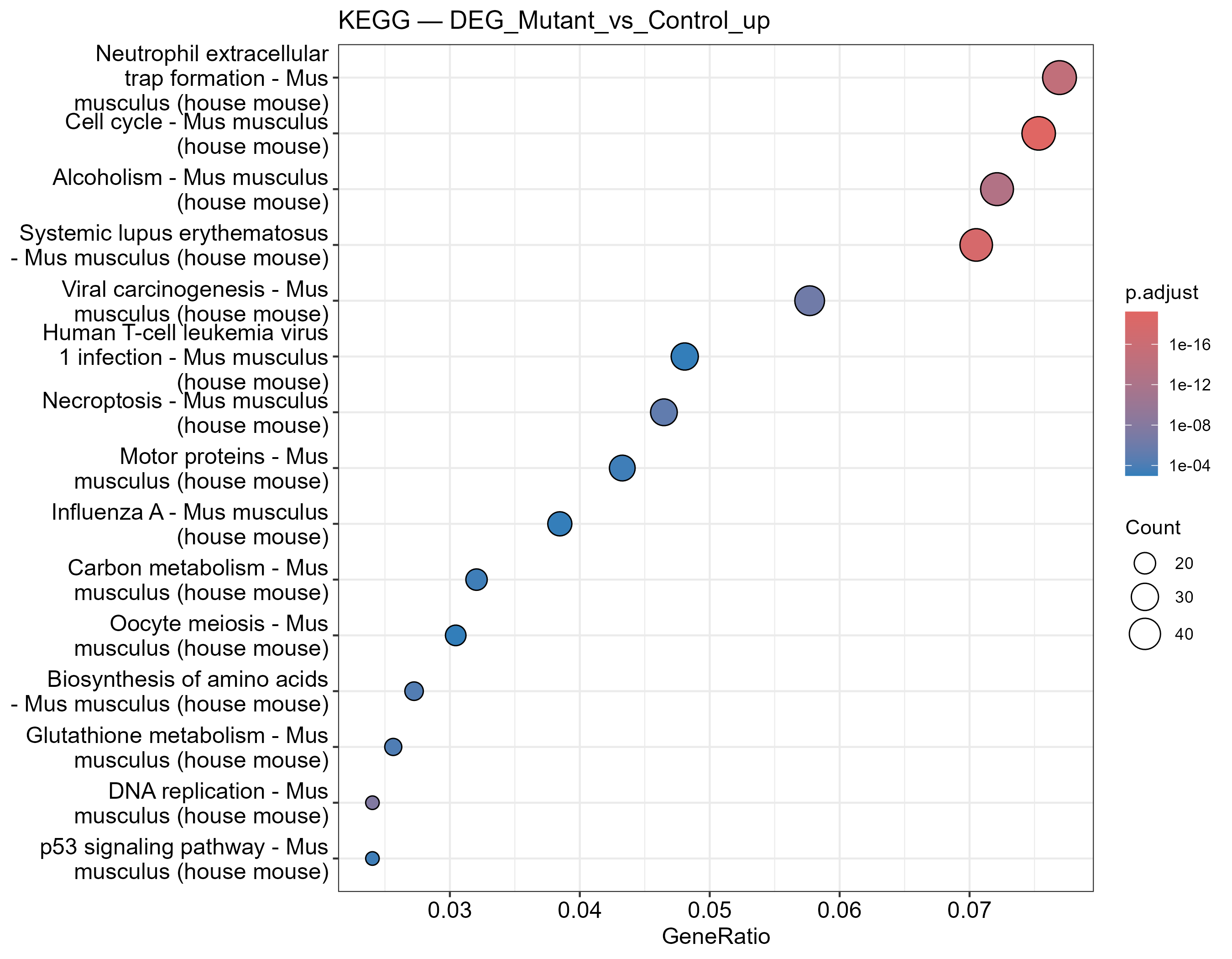 KEGG enrichment dotplot