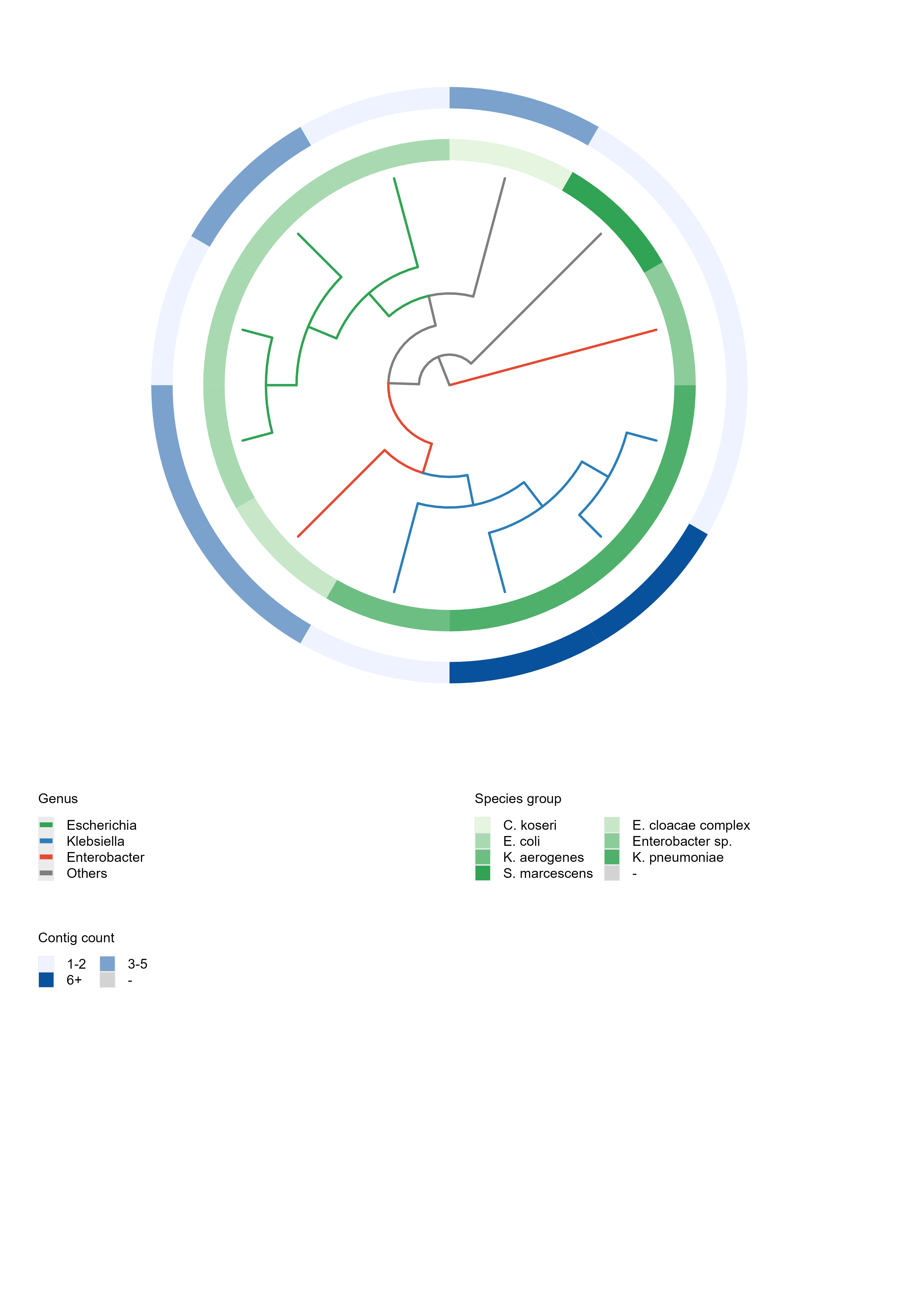 annotated phylogenetic tree figure