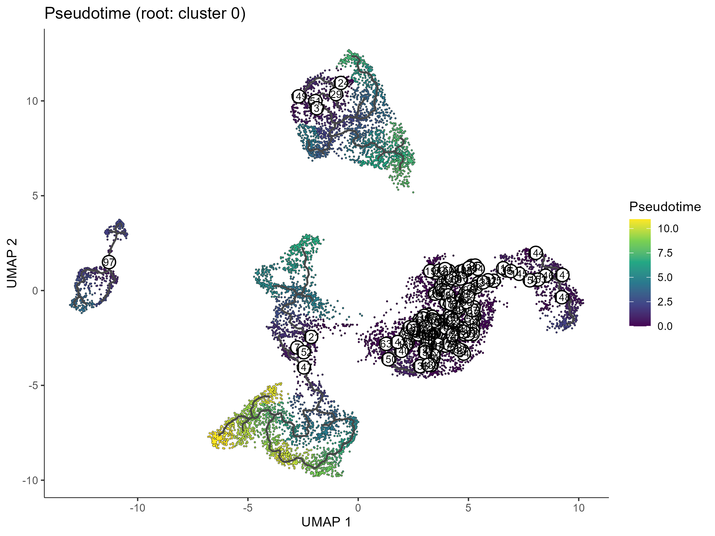 pseudotime trajectory