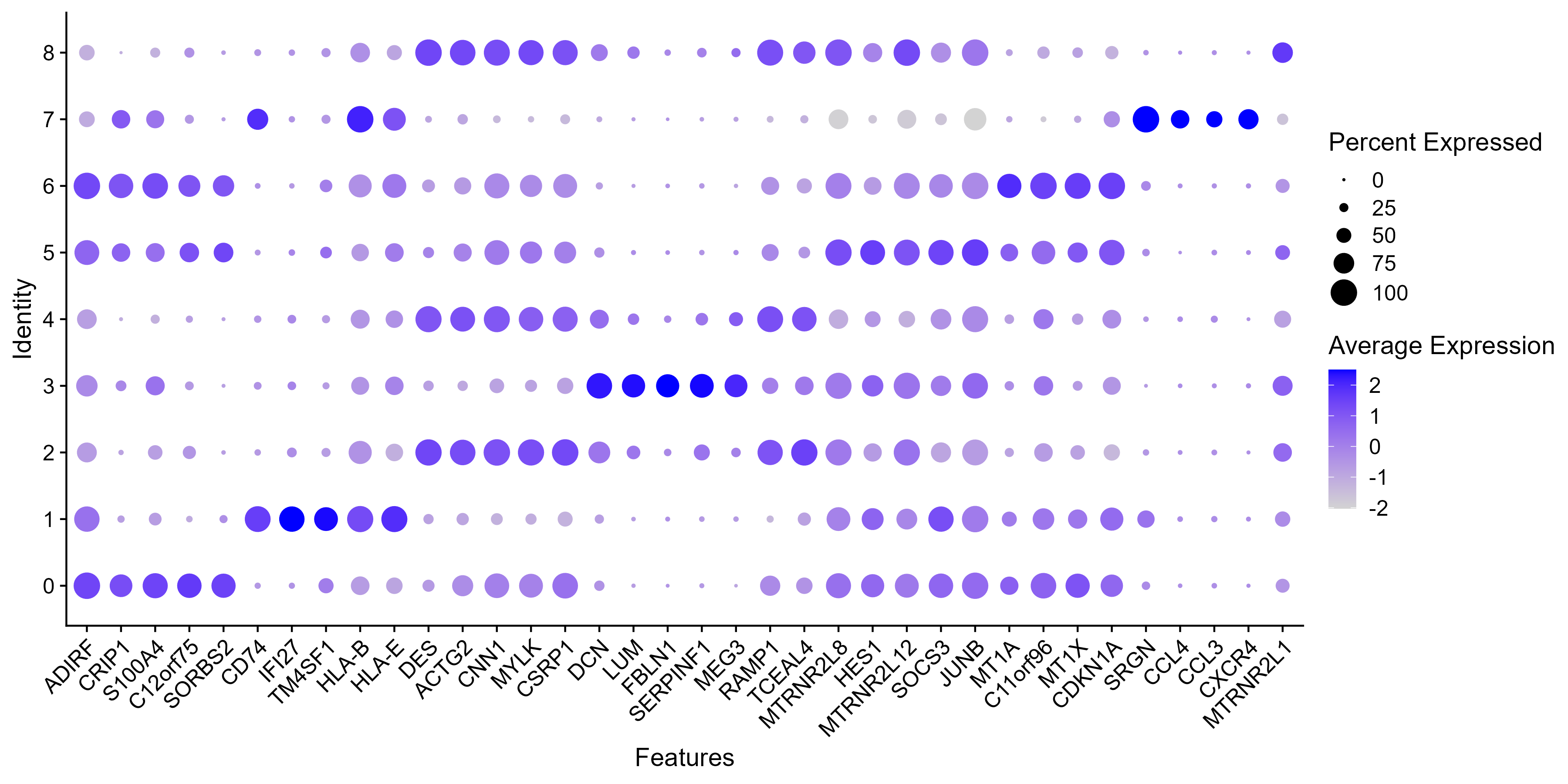 scRNA-seq marker dotplot